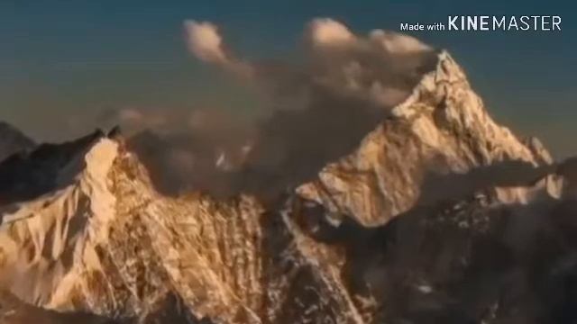 хочи мирзо инсон Inson