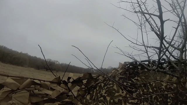 1000030306.mp4 смотреть онлайн