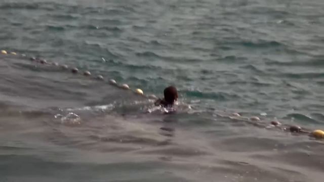 La Pêche à La Sardine Au Sénégal : Une Entreprise Périlleuse