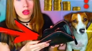 Эли ди петс