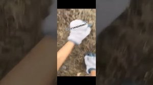 Сериал, Пушистик #квадробика #сериал #фильмы #териантроп #маска #врек #кошка