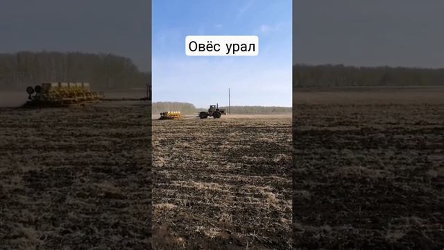 ранний посев овса 2022 смотреть онлайн