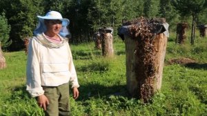 Документальный фильм про башкирских пчеловодов. Бортничество. Автор фильма  Эльвина Рязанова.