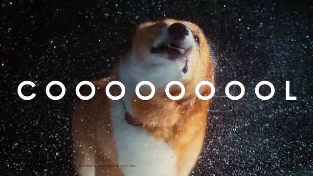 WindFree™ Air Conditioner: Wall Mounted | Samsung смотреть онлайн