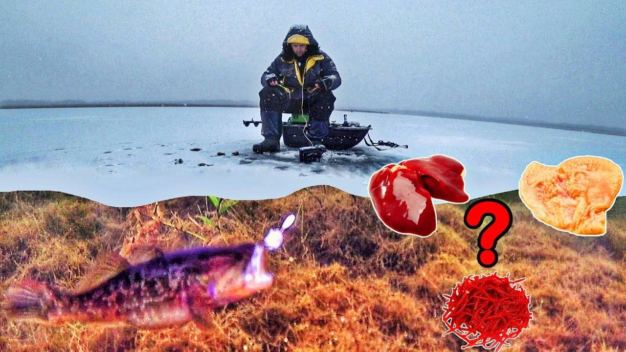 ЛУЧШАЯ НАСАДКА на РОТАНА! Подводное видео. Ловля РОТАНА зимой. Поклевки ротана смотреть онлайн