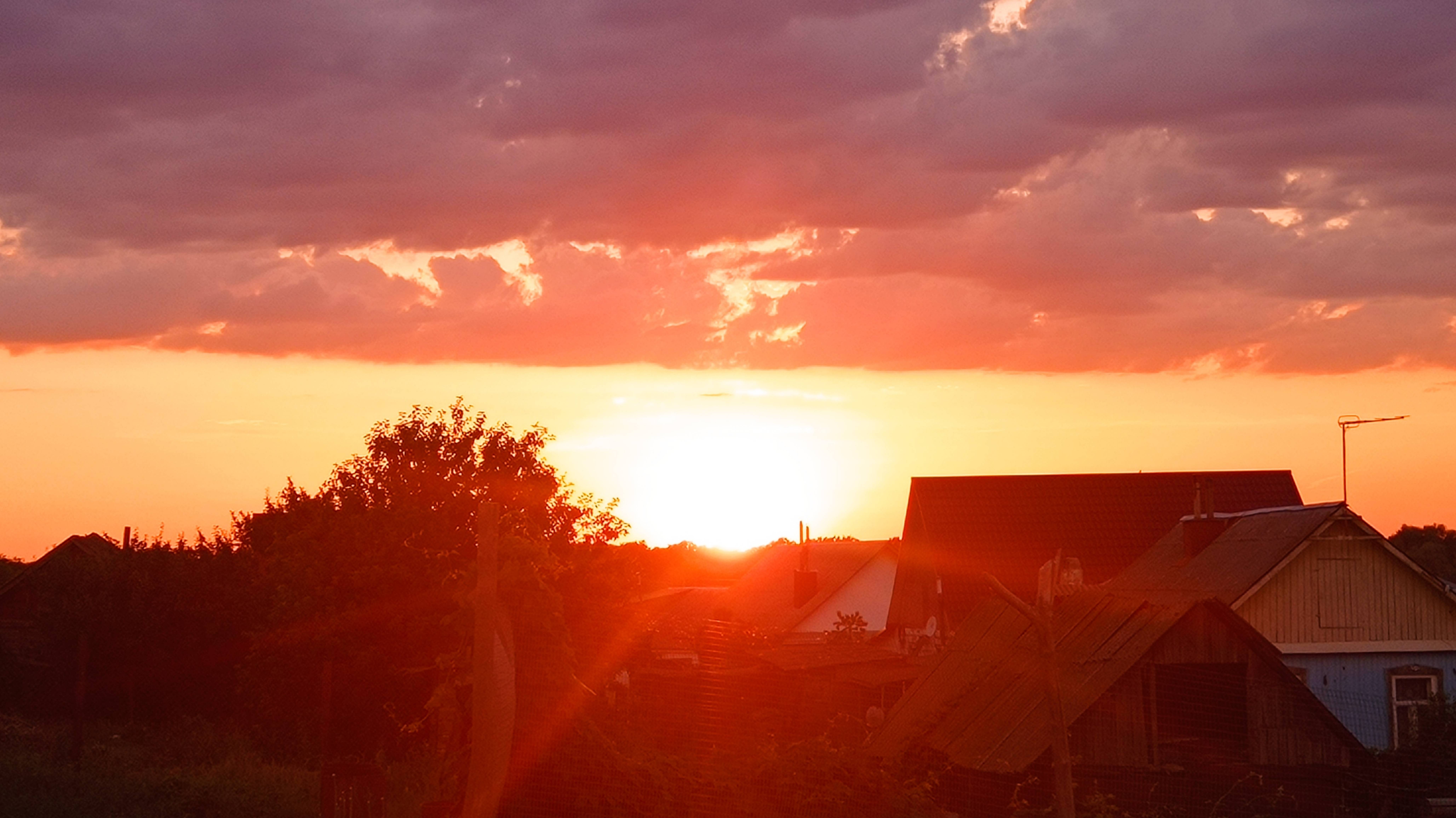 Солим(квасим) капусту.