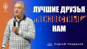 Лучшие друзья, о которых мы не знаем! | Сергей Гаврилов