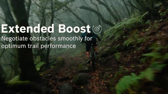 Bosch Performance Line CX 2021: mehr Power, mehr Spaß! смотреть онлайн