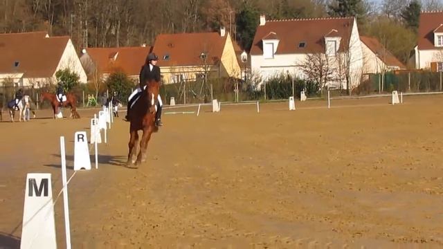 Concour dressage club 3 Grand Prix Nator смотреть онлайн