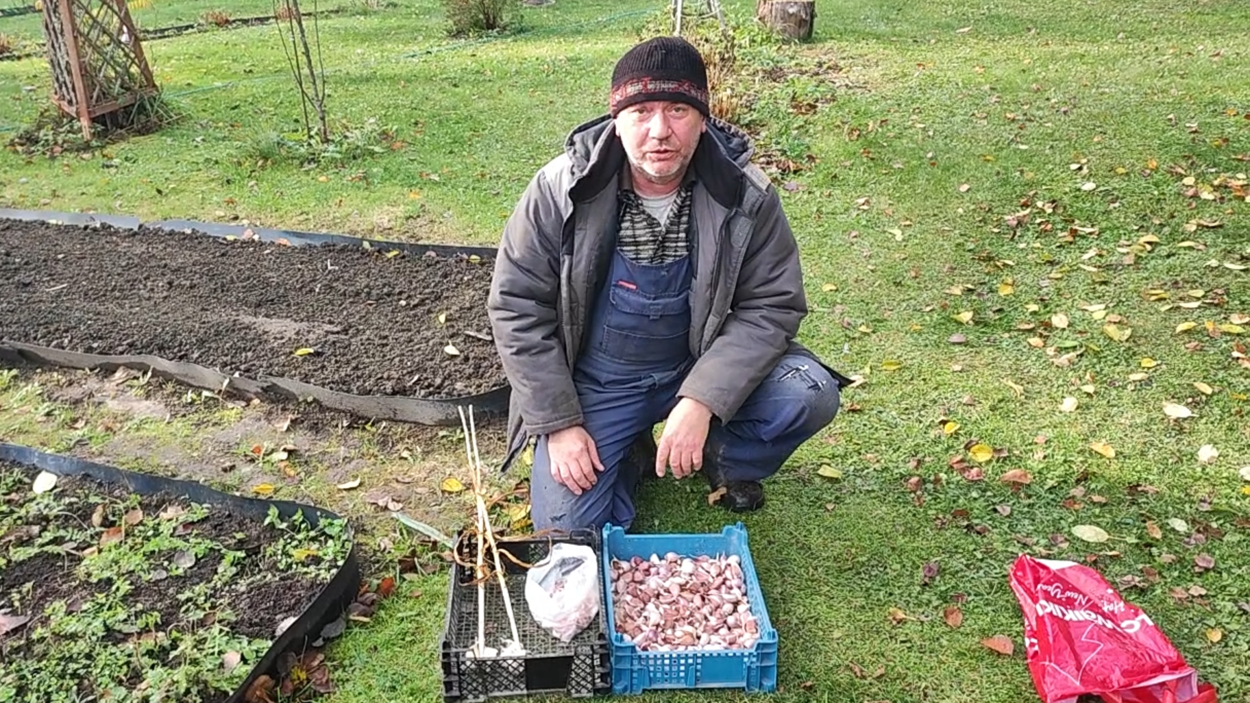 Озимый чеснок. Посадка. Просто и в удовольствие. смотреть онлайн