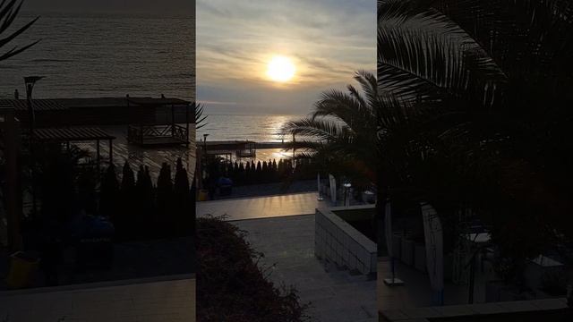 Адлер "Мандарин" Закат. смотреть онлайн