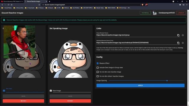 HOW TO SETUP PNG VTUBER with DISCORD & OBS (2022) смотреть онлайн