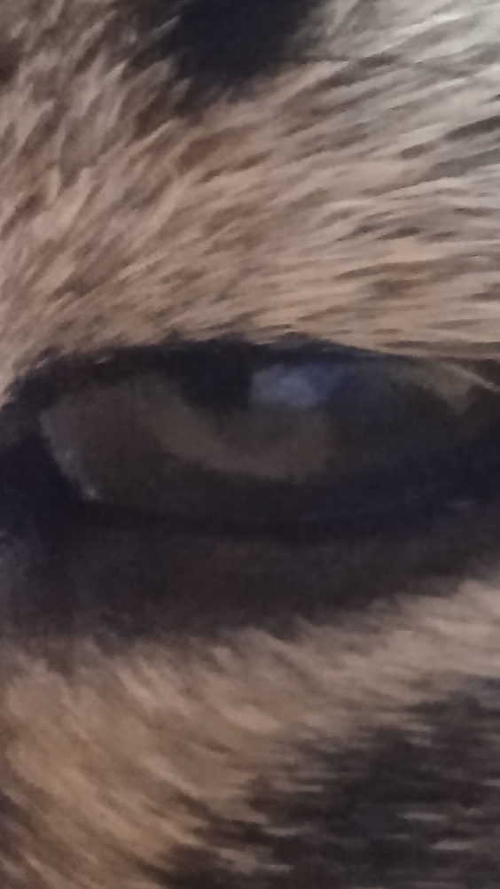 водолей+телец=💜