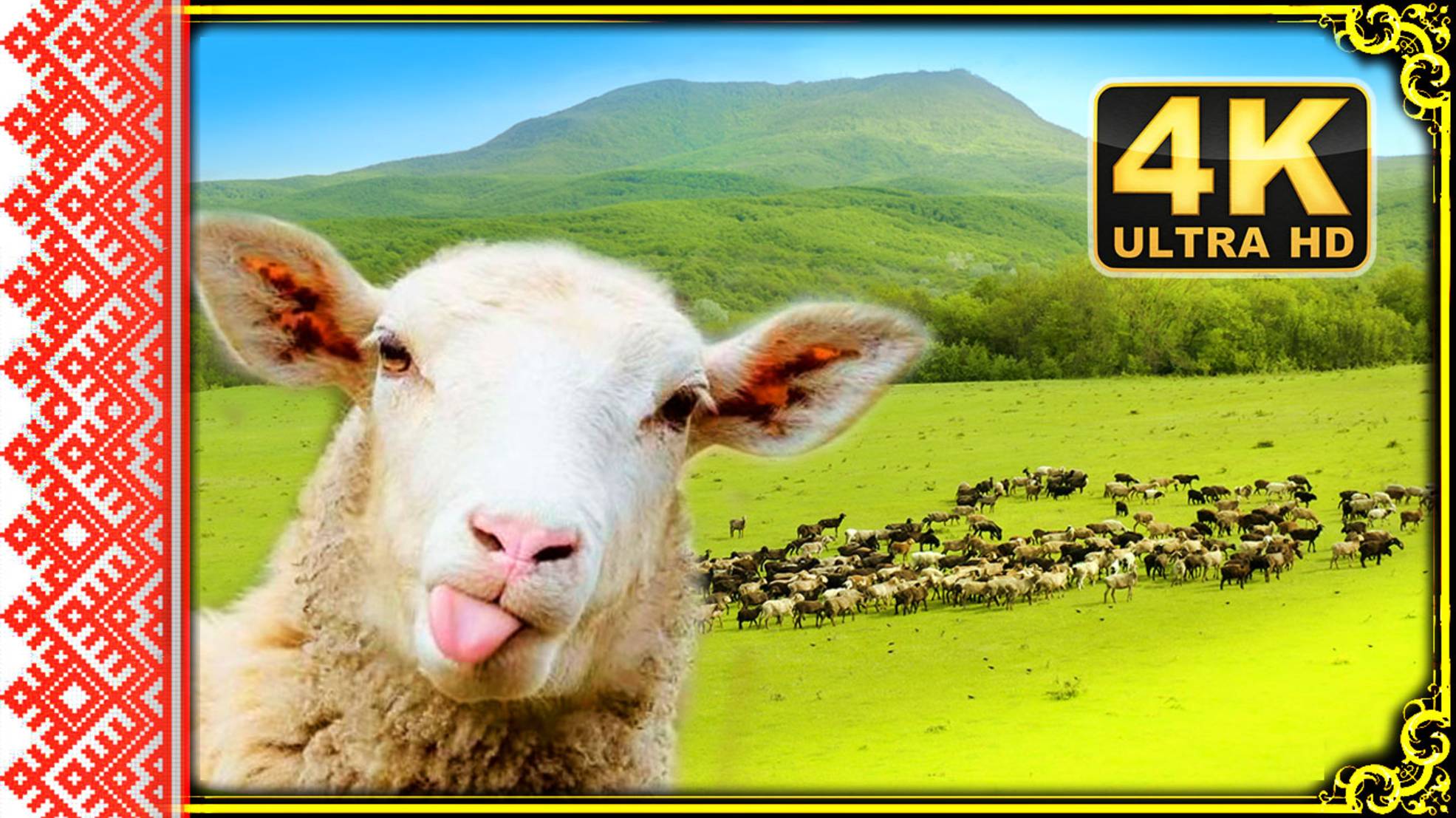 КАК ХОРОШО БЫТЬ ЧАБАНОМ / ПОЛЁТ НАД АЗОВСКОЙ смотреть онлайн