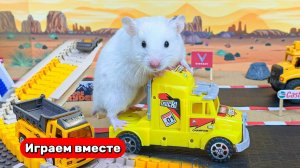 Вместе с Хомяком выбираемся из сложного лабиринта 🐹 Видео для детей