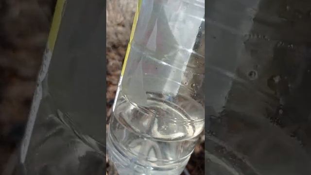 про березовый сок смотреть онлайн