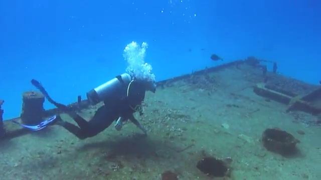 Dive isla mujeres , Dive Squalo !! Andres fernandez смотреть онлайн