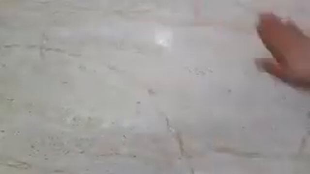 Беляши #беляши смотреть онлайн