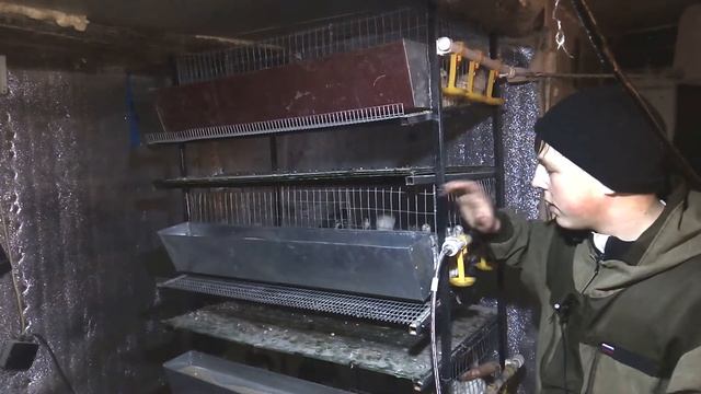 №4 "ИТОГ". ОБЗОР ПЕРЕПЕЛИНОЙ КЛЕТКИ В СБОРЕ. смотреть онлайн