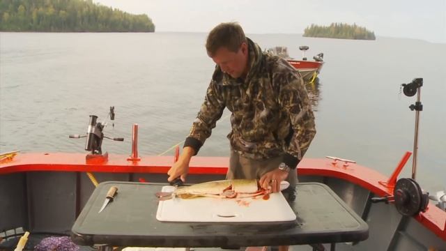 How to Remove Northern Pike Y Bones смотреть онлайн