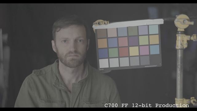Arri Alexa Mini  Vs  C500 II/ C700 Full Frame Test Skintone