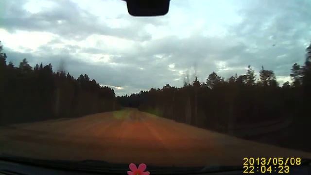 Лиса на видеорегистратор смотреть онлайн