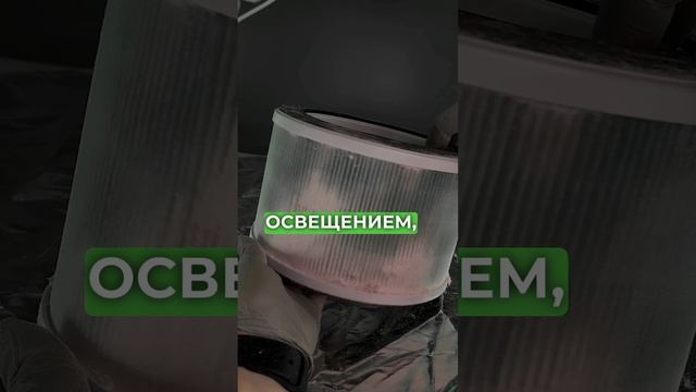 Почему я поменяла свою настольную вытяжку на 4BLANC PRO смотреть онлайн