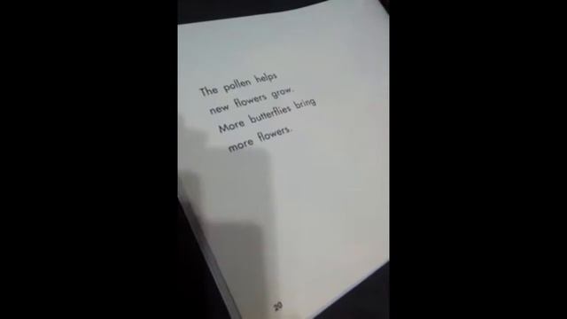 A 3 Year Old Reading for Pleasure - SSP Mini Code Crackers смотреть онлайн