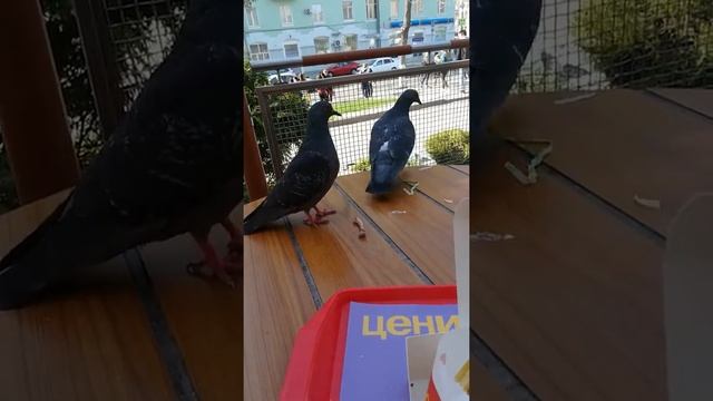 Не кого не боятся смотреть онлайн