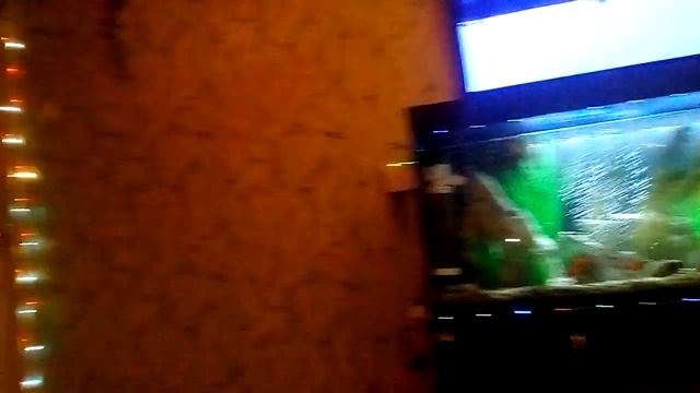 10 января 2024 г.(3).mp4 смотреть онлайн