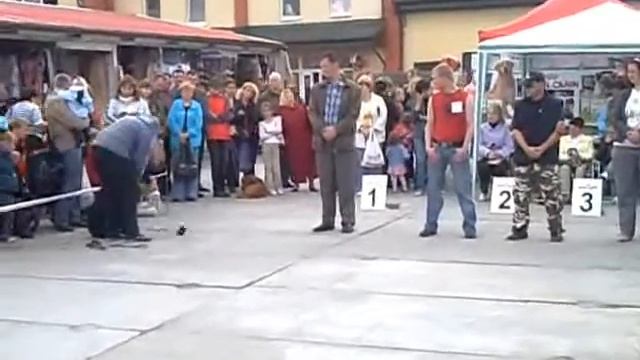 Senya2.wmv смотреть онлайн