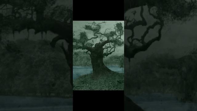 Poison Tree - Grouper | 1 Hour Loop смотреть онлайн