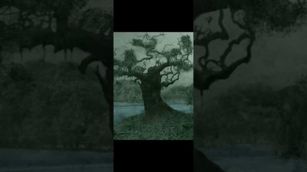 Poison Tree - Grouper | 1 Hour Loop