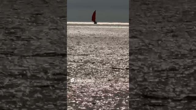 Zoom iphone 15 pro maxx смотреть онлайн