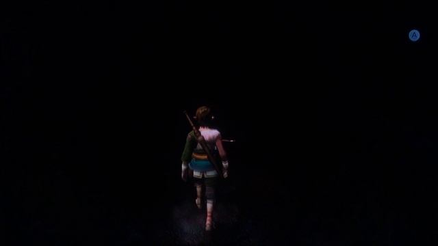 Zelda Fan Plays The Legend Of Zelda: Twilight Princess HD смотреть онлайн