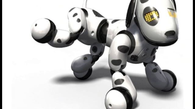 Zoomer The interactive Robot Pet Dog. Hands on Review смотреть онлайн