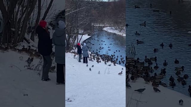 Lie ( DNDM Remix) Umar Keyn. Красивая мелодия/ Москва смотреть онлайн