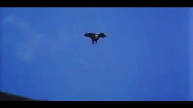 Julia Lima - Fly Away