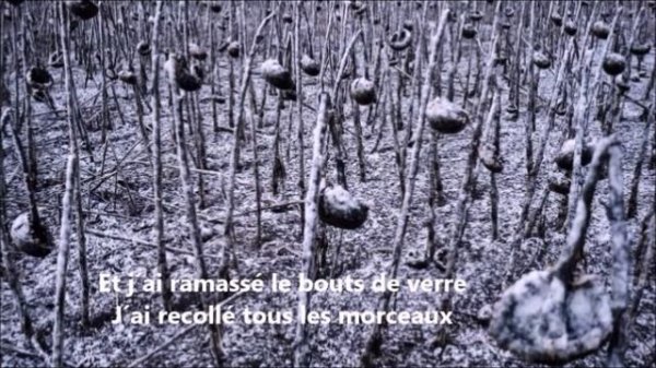 ZAZ-Tous les cris SOS lyrics