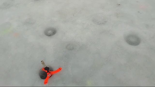 WhatsApp Video 2025-01-11 at 10.29.42 смотреть онлайн