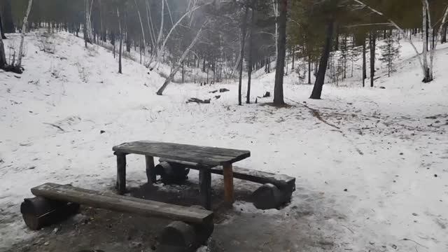 Пикник зимой в забайкальском лесу смотреть онлайн