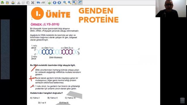 GENETİK ŞİFRE VE PROTEİN SENTEZİ смотреть онлайн