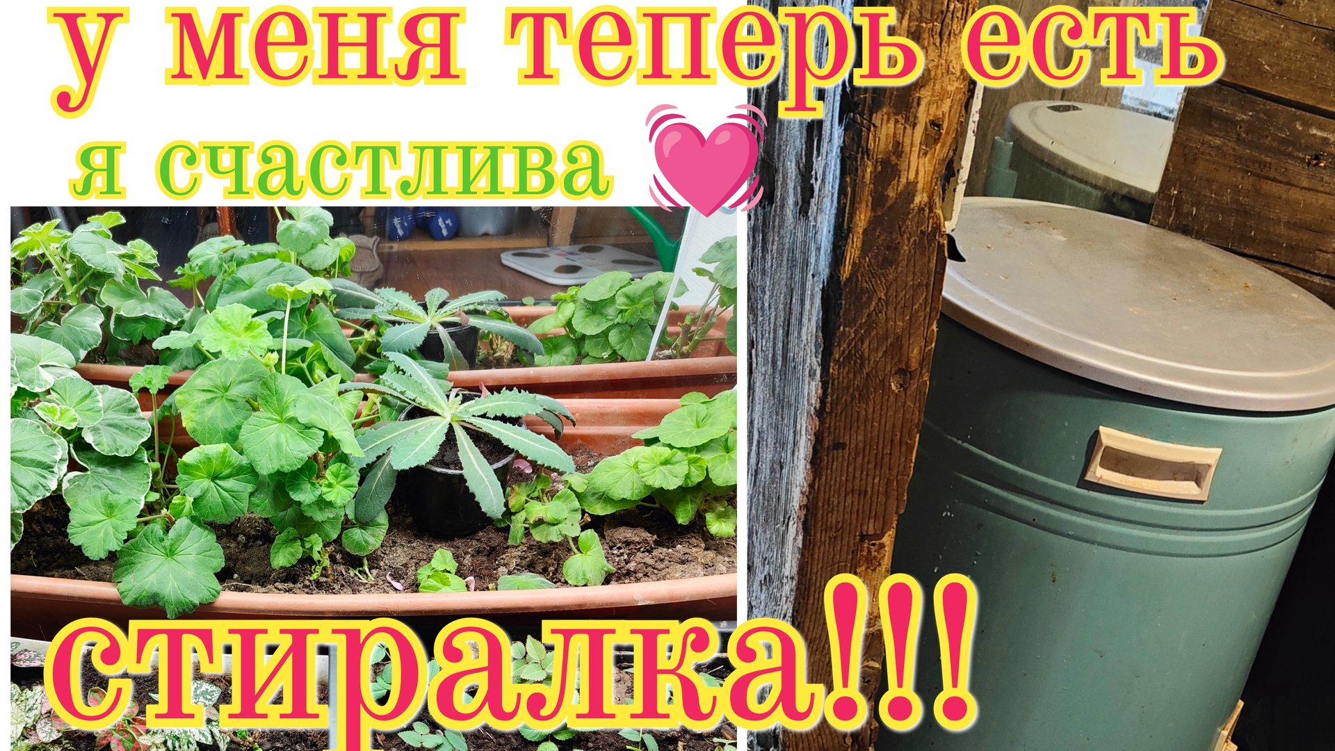 Моя рассада чуть не засохла! Как мне приходится убираться этой зимой смотреть онлайн