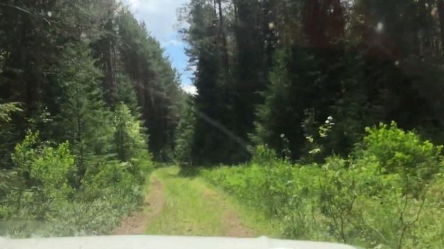 ЗАЗ 968 #1 смотреть онлайн
