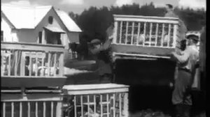 Киножурнал / НОВОСТИ ДНЯ 1954 г N 34