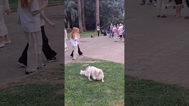 СОЧИ. НАВАГИНСКАЯ. ПОЁТ УРИХ. смотреть онлайн