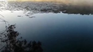 ТЫ ВЕДИ МЕНЯ, РЕКА... - ИСП. СВЕТЛАНА КОЛУНДАЕВА ( КОФАНОВА ) - КРАСИВАЯ ПЕСНЯ ДЛЯ ВАС! 💝💖