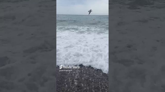 Волны смотреть онлайн