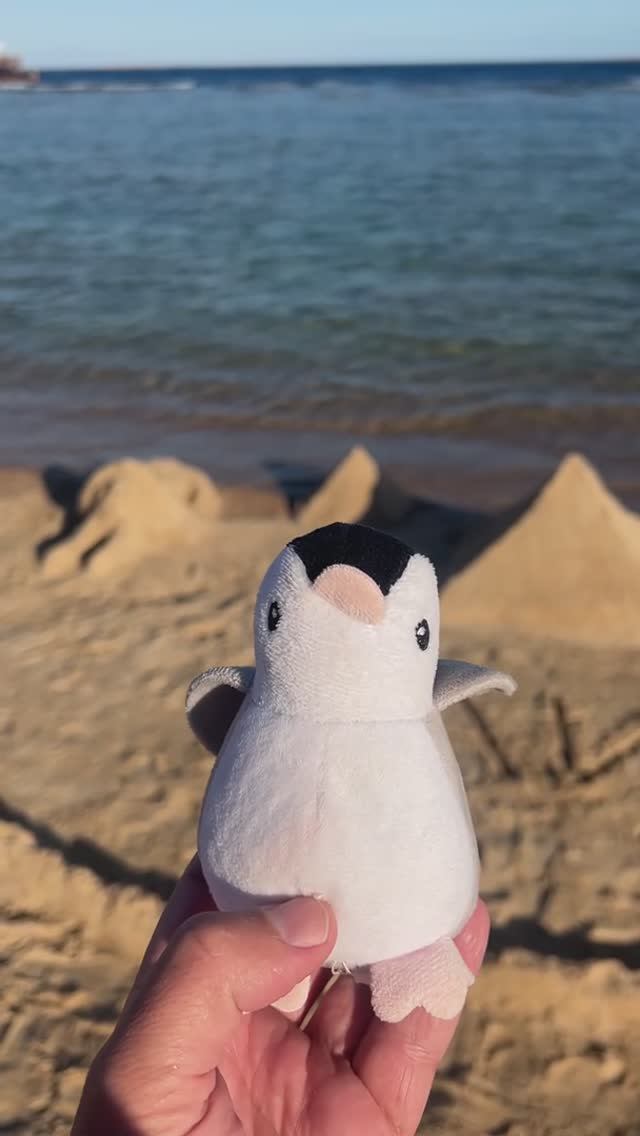 Пингвин Пи Пи приехал в Египет смотреть онлайн