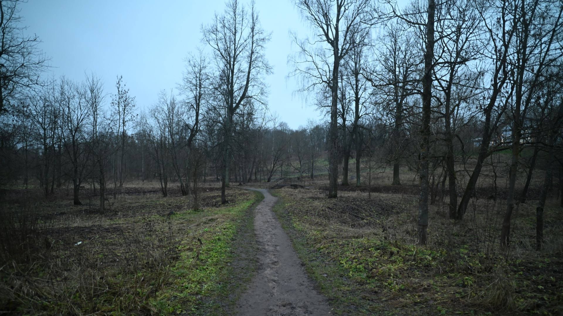 Что бы я купил сейчас, если бы не купил Canon 200D в 2018 году. Озеро. Парк. Утки. 30.11.2024 г. смотреть онлайн